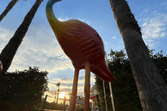 IMG_2768-scaled